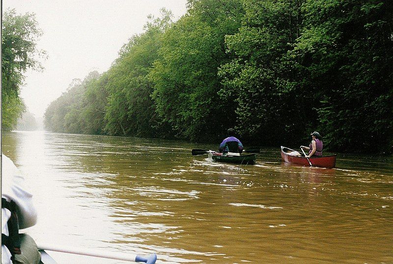 File:Wolf-River-GermantownTN.jpg