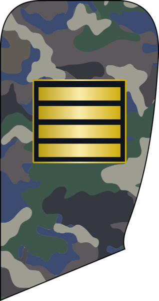 File:4- IRIADF-Cpl.png