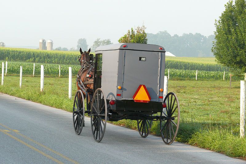 File:Amish buggy 2.jpg