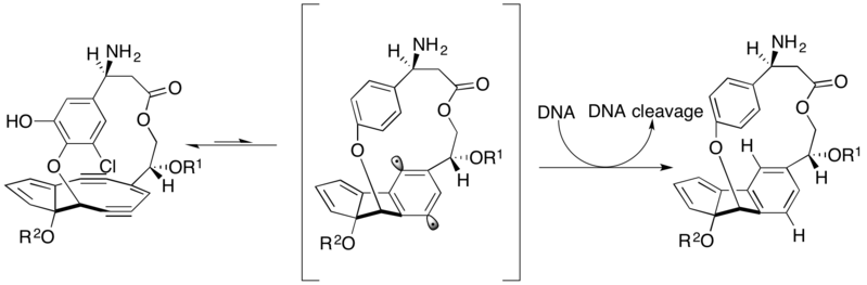 File:C-1027 mechanism.png