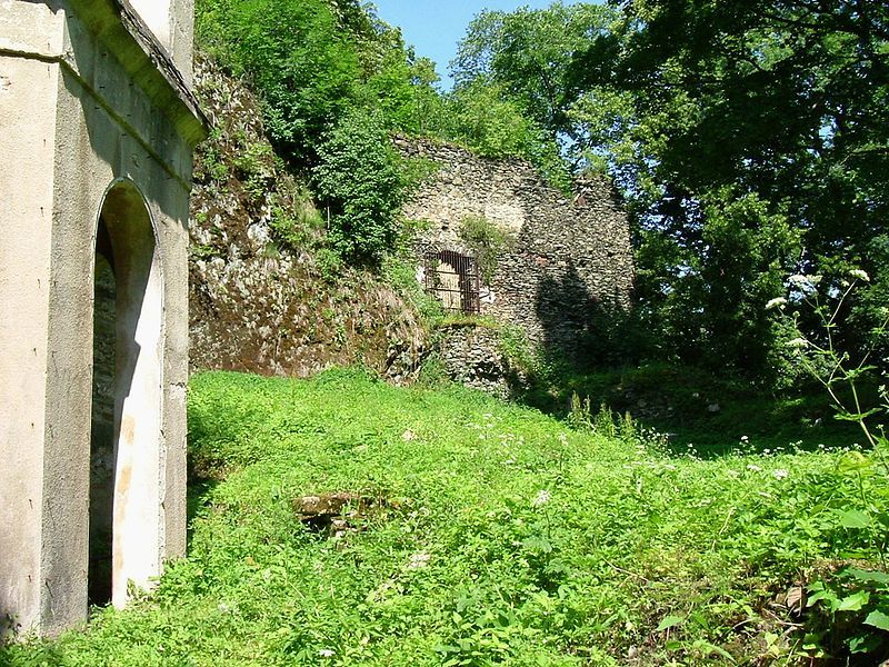 File:CastleNiesytno2.jpg