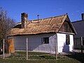 Reed thatched roof