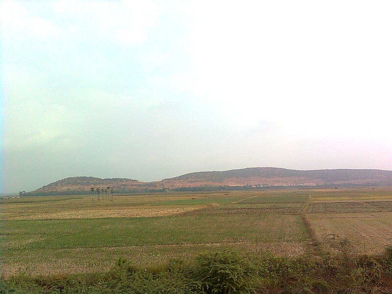 File:Fields near Nuzvid.jpg