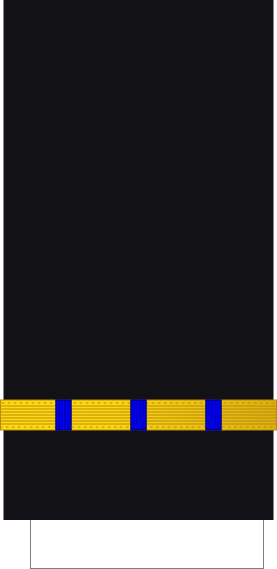 File:France-Navy-OF-(D2) Sleeve.svg