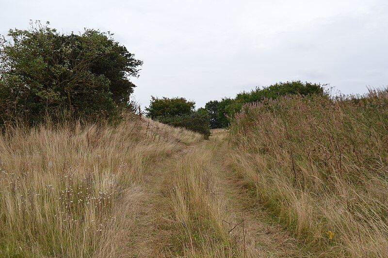 File:Furze Hill 1.jpg