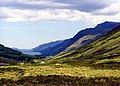 Glen Docherty