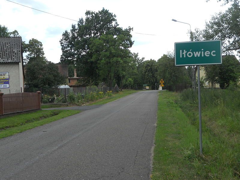 File:Iłówiec.jpg