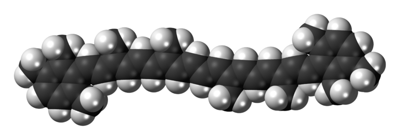 File:Isorenieratene-3D-spacefill.png