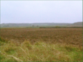 View across Laxton's open fields