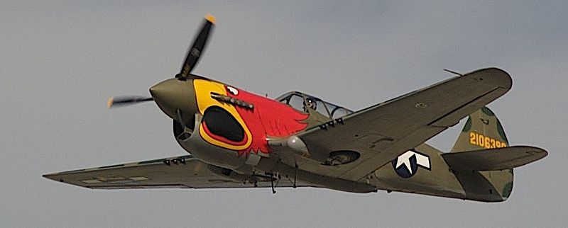 File:P-40N Parrot Head.jpg