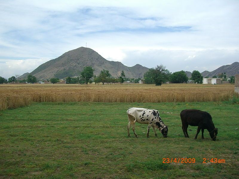 File:Panj Pir Hill.jpg