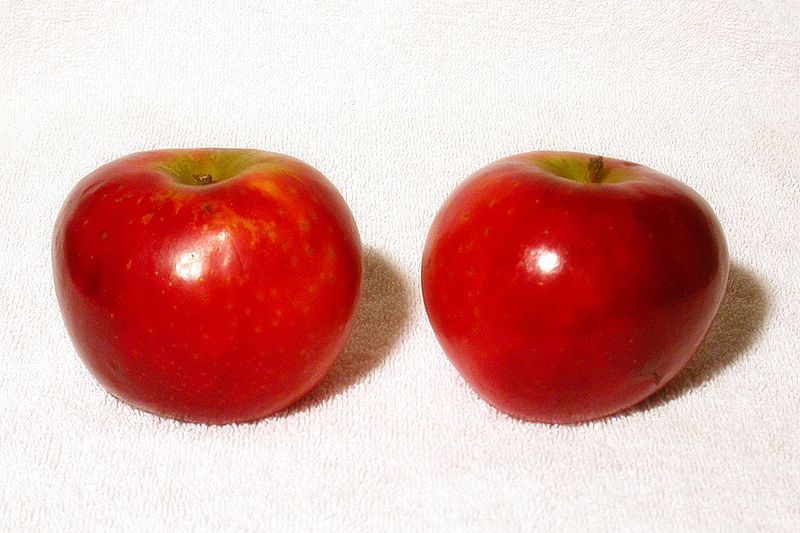 File:Pomme Ariane.jpg