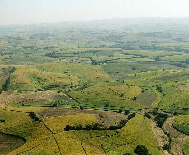 File:RSA Sugar Fields.jpg