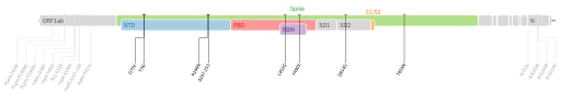 File:SARS-CoV-2 Lambda variant.svg