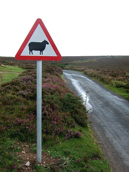 File:Sheep sign.jpg