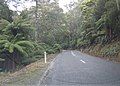 Tasman Highway in Tasmania