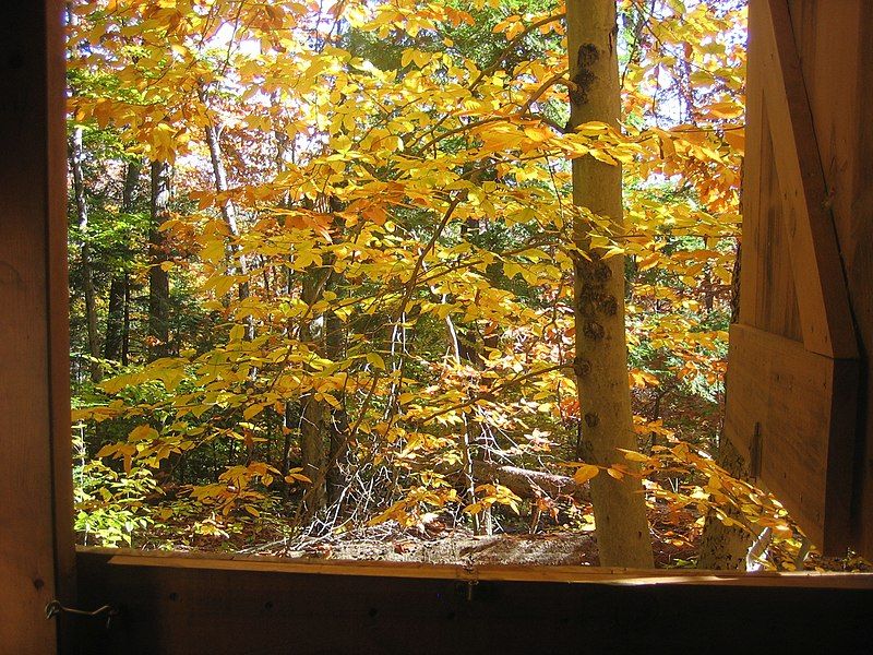 File:Velvet Rocks outhouse.jpg