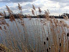 Walthamstow Reservoir