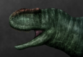 Yangchuanosaurus