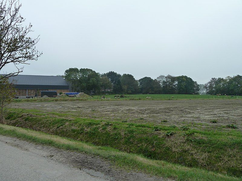 File:Aalsum - wierde.jpg