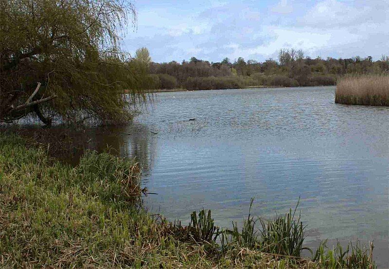 File:Alresford pond.jpg