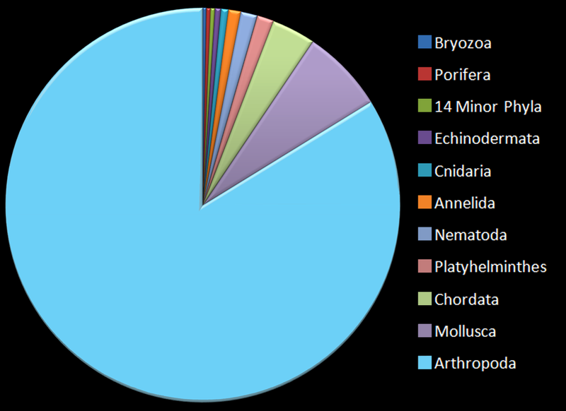 File:AnimalsRelativeNumbers.png