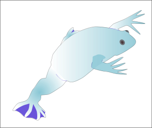 File:Azurxenope-final.svg