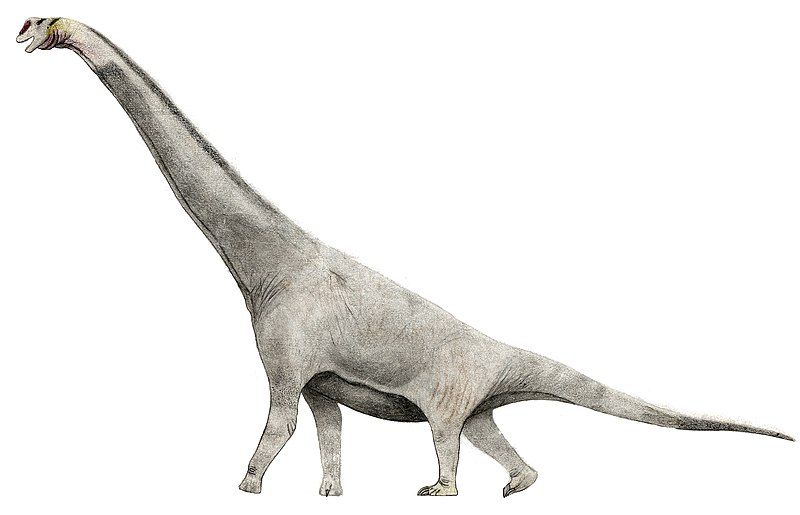 File:Brachiosaurus althi.jpg