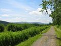 Catskill Scenic Trail with scenic farmland and mountains.