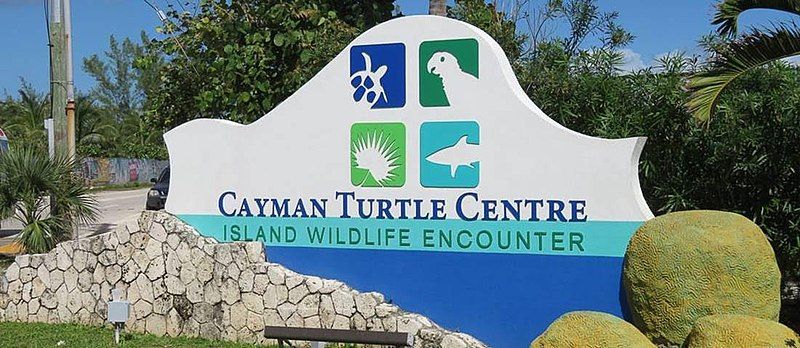 File:Cayman Turtle Centre.jpg