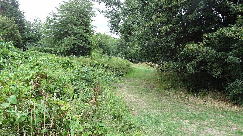 File:Elmbridge Meadows, Kingston.JPG