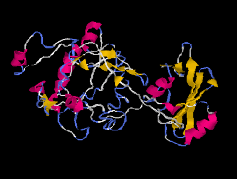 File:HSH2D Structure.png