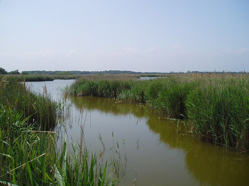 File:Hickling Broad.jpg