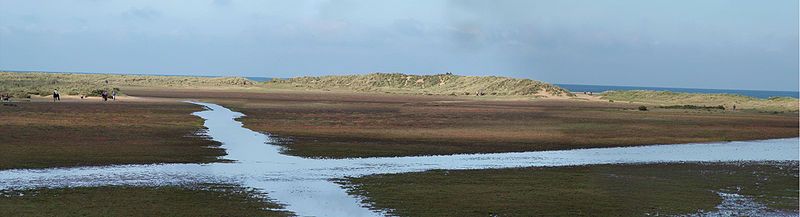 File:Holkham beach.jpg