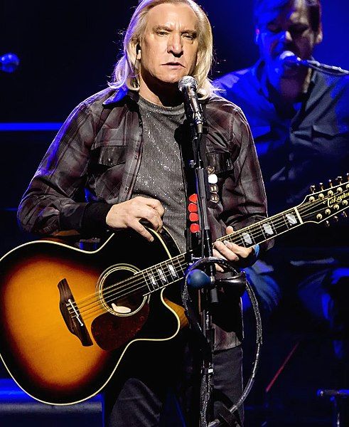 File:Joe Walsh 2019.jpg