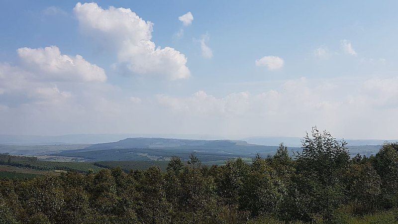 File:Louwsburg Landscape.jpg