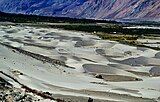 Nubra valley sandunes