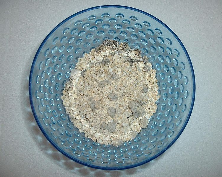 File:Oatmealraisins.jpg