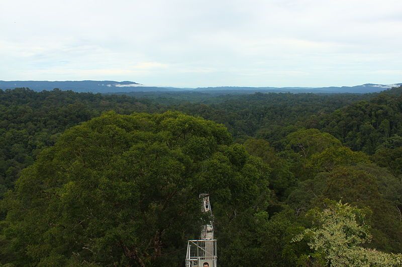 File:Over borneo.jpg