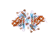 2bra: STRUCTURE OF N-TERMINAL FAD BINDING MOTIF OF MOUSE MICAL