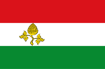 File:Peize vlag.svg