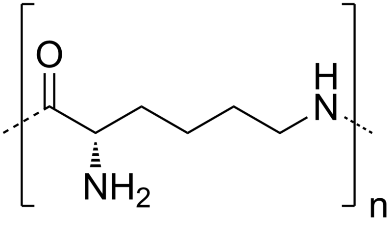 File:Polylysine.png