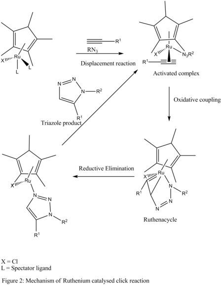 Mechanism for ruthenium-catalysed click chemistry