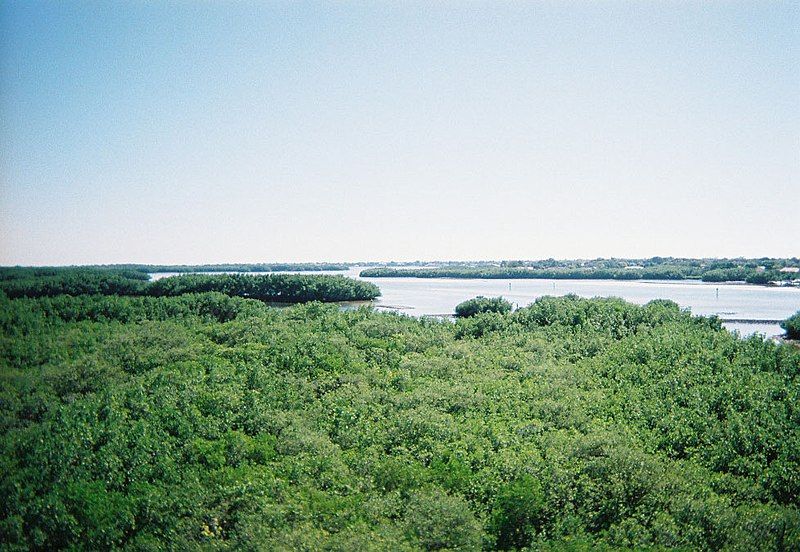 File:Weeden Island01.jpg