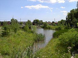 View of Taylor-Massey Creek from Terraview Willowfield Park