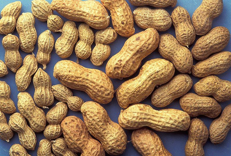 File:ARS peanuts.jpg