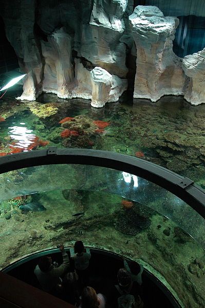 File:Acquario di Genova-interno.jpg