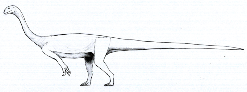 File:Arcusaurus LM.png