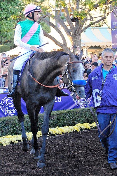 File:Arrogate-BCC2016-1.jpg