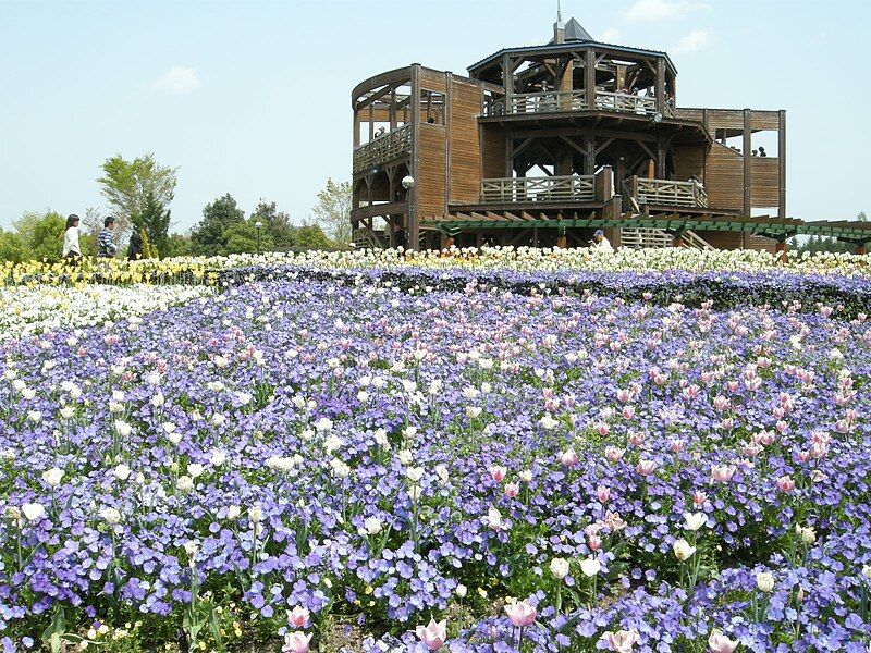 File:Bihoku-kyuryo Park.jpg